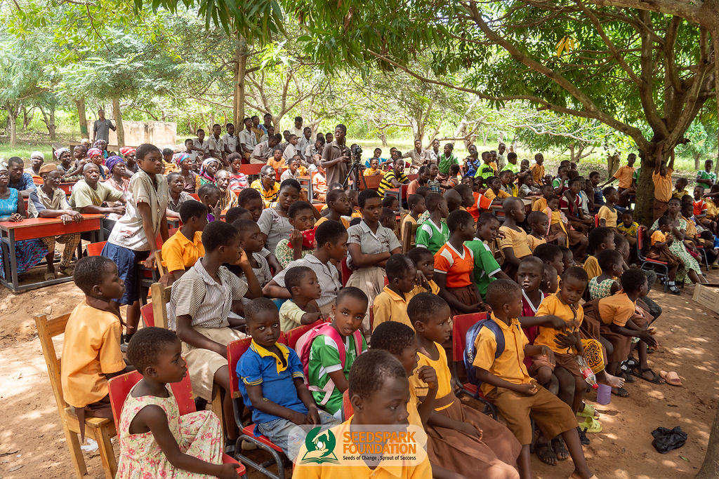 SeedSpark Foundation Impact